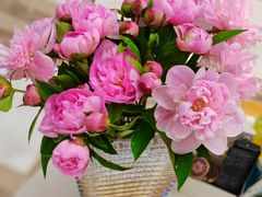 -新世界百货(明洞总店)