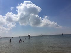 -碧海金沙