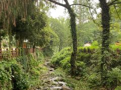 -素山寺森林公园