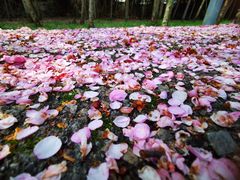 -贵阳市花溪国家城市湿地公园