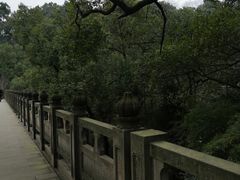 -南山植物园