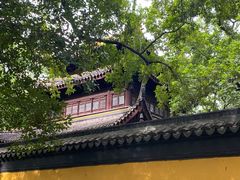 -西园戒幢律寺