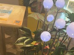 -满记甜品(优客百盛店)