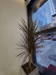 -上禾 HAIR SALON