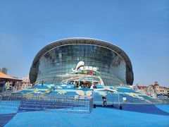 -海合安天津极地海洋公园
