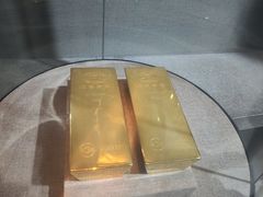 -烟台自然博物馆
