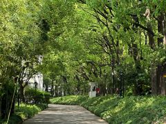 -上海虹桥迎宾馆