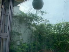 -成都蓝城悦杏温泉美食酒店(宽窄巷子店)
