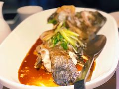 清蒸老虎斑-徐记海鲜(大明宫|北二环店)