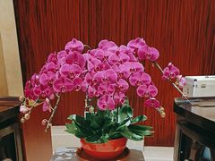 -北京歌华开元大酒店