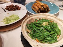 -山东老家(科韵分店)