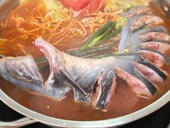 -苗侗地道红酸.酸汤鱼·酸汤牛肉