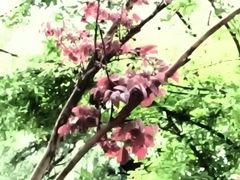 -东坡赤壁风景名胜区