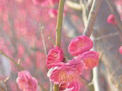 -杭州口腔医院(城西院区)