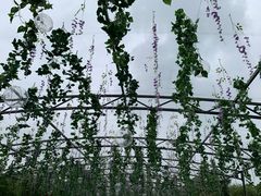 -尚湖风景区