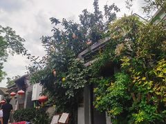 -赵府街副食店