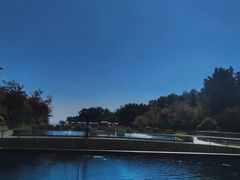 -天津湾西餐厅(三亚海棠湾洲际度假酒店)
