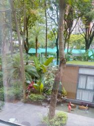 -宝生月子中心·私家园林式(龙华观澜店)