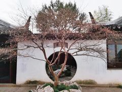 -艺圃