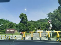 -桃花岭景区