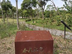 -春花秋色城市公园