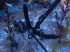 -上海海洋水族馆