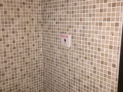 -成都安仁福朋喜来登酒店