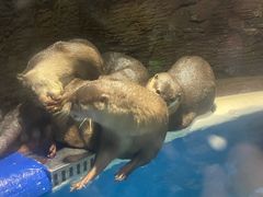 -成都浩海立方海洋公园