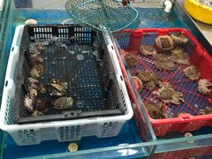 -海云庵农贸市场