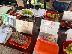 -马陆小张葡萄园农家乐