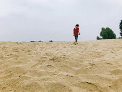 -东郊湿地公园