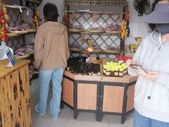 -苏州市吴中区光福窑上花果蜜饯厂