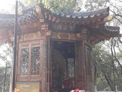 景点-高尔山公园
