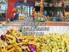-西双版纳原始森林公园