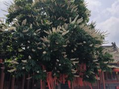 -盛世南宫影视城(北普陀影视城)