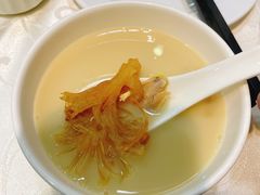 -凤城礼记鱼翅海鲜酒家(新马路总店)