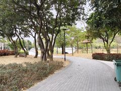 -王借岗森林公园