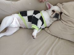 -怪兽屋·羊驼·猫咖·狗咖(俊华广场店)