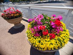 -老九圆山西面馆(CBD店)