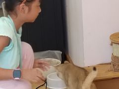 -猫咪派对(江南西店)