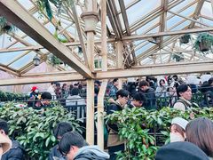 -哈利波特禁忌之旅