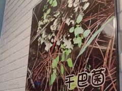 -菌乡缘·野生菌蒸汽鱼火锅(江边夜市店)