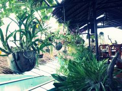 -自然餐厅(Phuket)