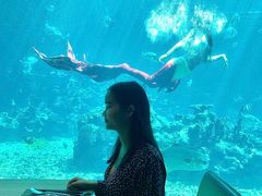 -海棠湾洲际-涛·海底餐厅·美人鱼·自助餐·海底隧道