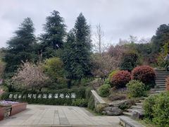-阿哈湖国家湿地公园