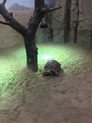 -未来动物城主题公园(正弘城店)