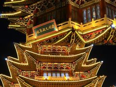 -吴桥杂技大世界