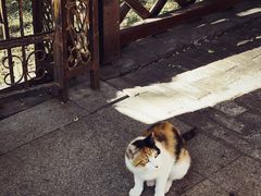 -申德勒加油站西餐厅(日坛路总店)