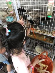 -小蜜蜂农场(凯德七宝购物广场店)