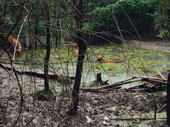 iphone_upload_pic-溱湖国家湿地公园